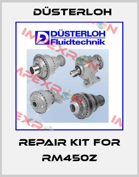 Repair kit for RM450Z Düsterloh