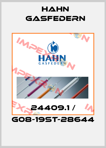 24409.1 / G08-19ST-28644 Hahn Gasfedern