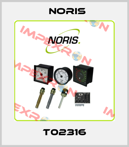 T02316 Noris