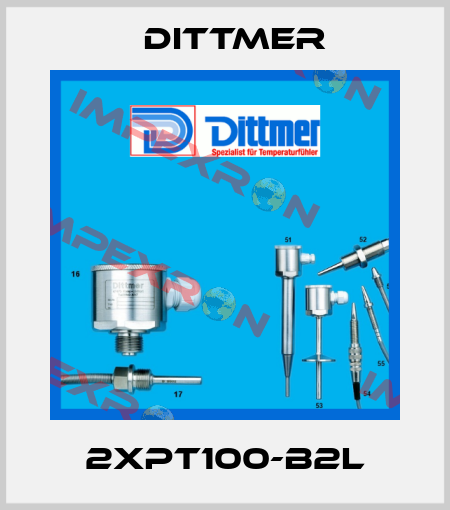 2xPT100-B2L Dittmer