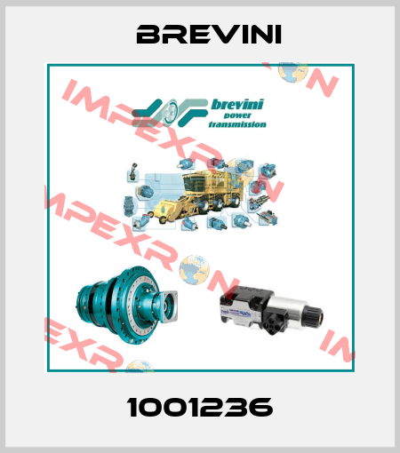 1001236 Brevini