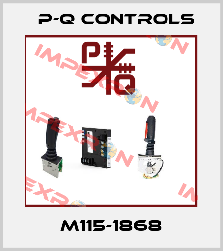 M115-1868 P-Q Controls