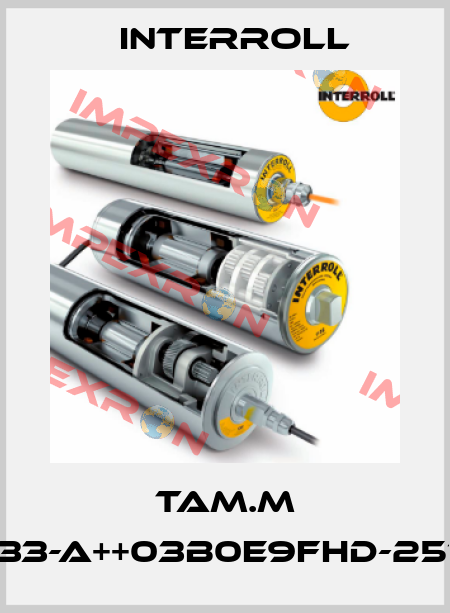TAM.M DM1133-A++03B0E9FHD-257MM Interroll