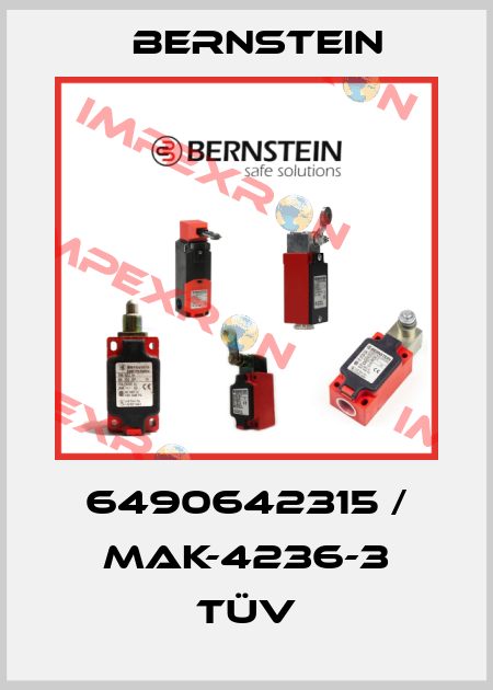 6490642315 / MAK-4236-3 TÜV Bernstein