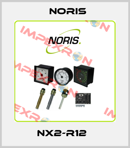 NX2-R12　 Noris