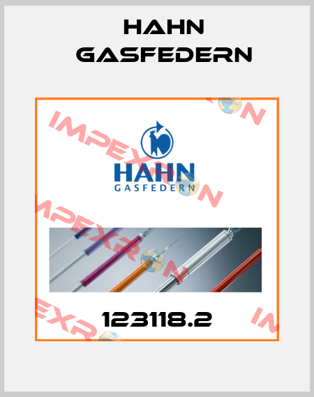 123118.2 Hahn Gasfedern