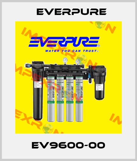 EV9600-00 Everpure