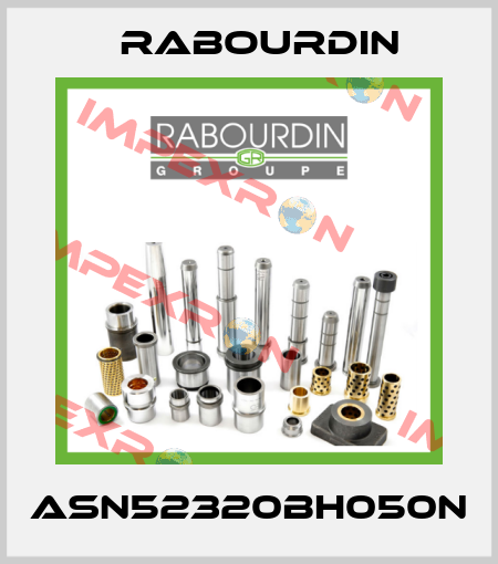 ASN52320BH050N Rabourdin
