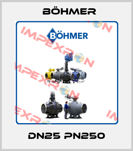 DN25 PN250 Böhmer