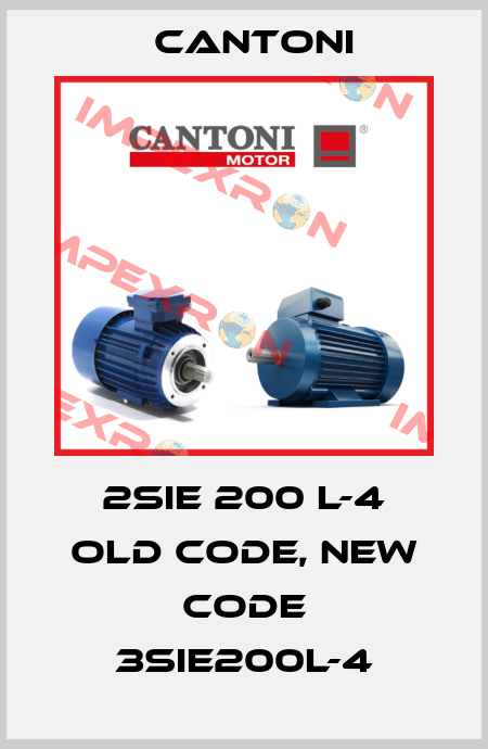 2SIE 200 L-4 old code, new code 3SIE200L-4 Cantoni