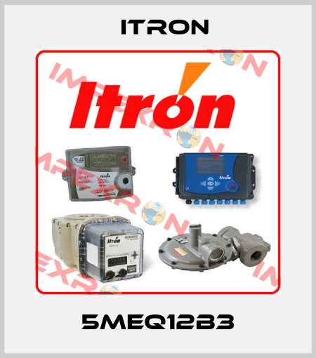 5MEQ12B3 Itron