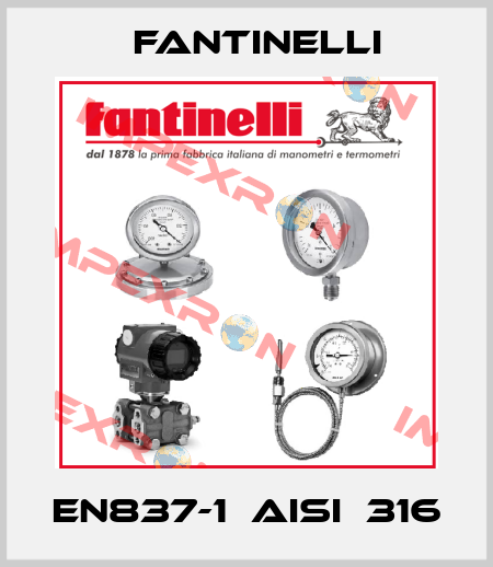 EN837-1　AISI　316 Fantinelli