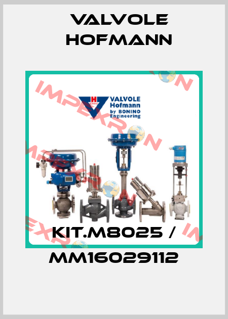 KIT.M8025 / MM16029112 Valvole Hofmann