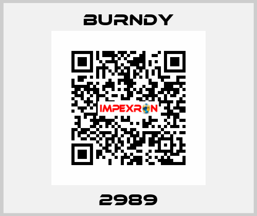 2989 Burndy