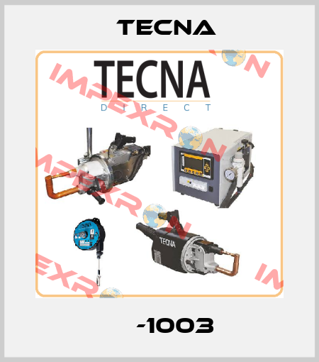 АЕ-1003 Tecna