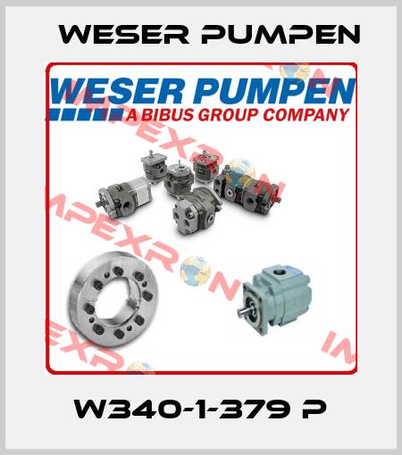 W340-1-379 P Weser Pumpen