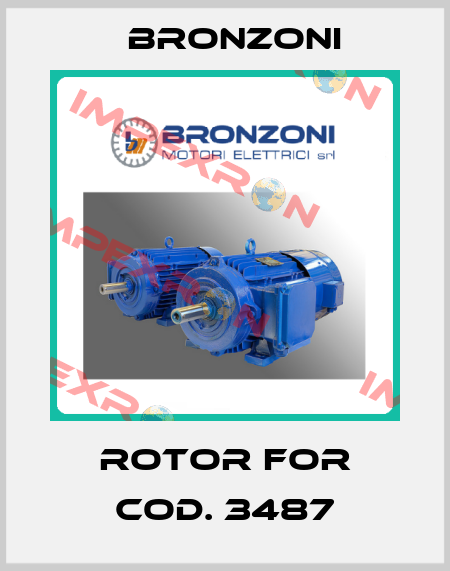 rotor for Cod. 3487 Bronzoni