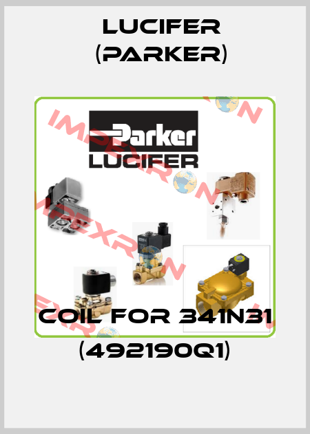 coil for 341N31 (492190Q1) Lucifer (Parker)