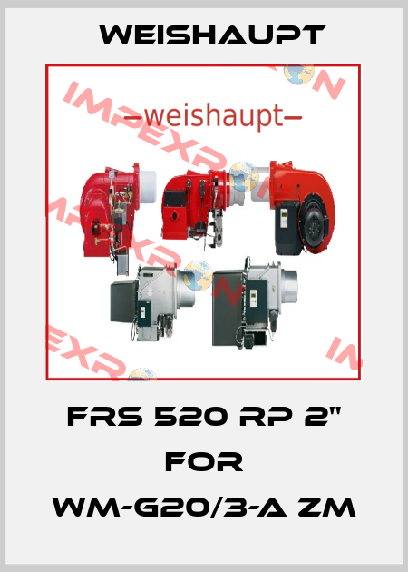 FRS 520 Rp 2" for WM-G20/3-A ZM Weishaupt