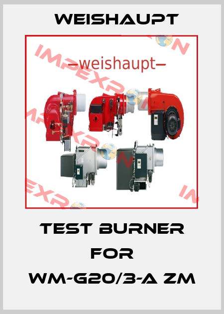 Test burner for WM-G20/3-A ZM Weishaupt
