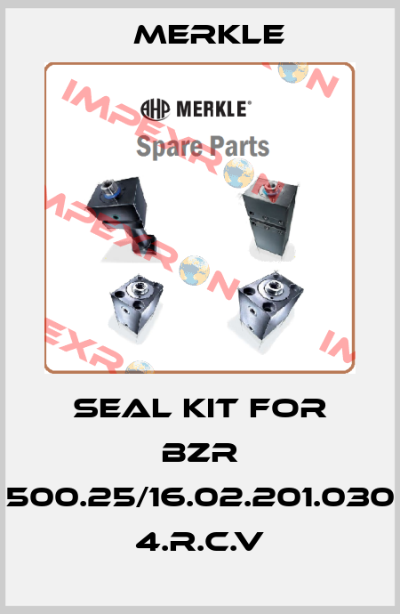 seal kit for BZR 500.25/16.02.201.030 4.R.C.V Merkle