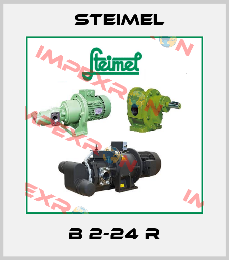 B 2-24 R Steimel