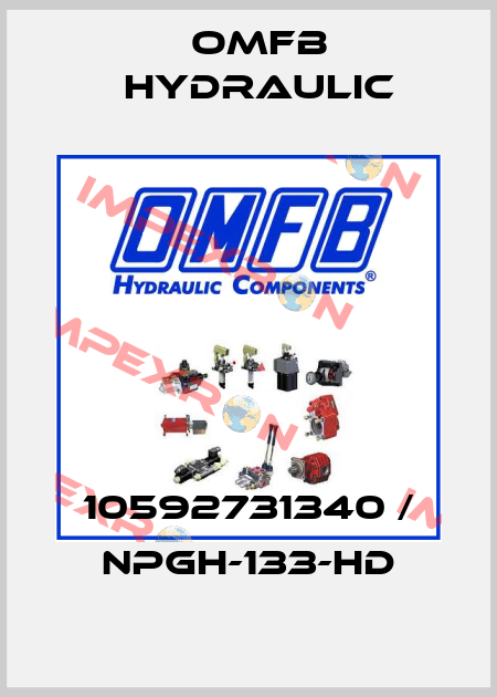10592731340 / NPGH-133-HD OMFB Hydraulic