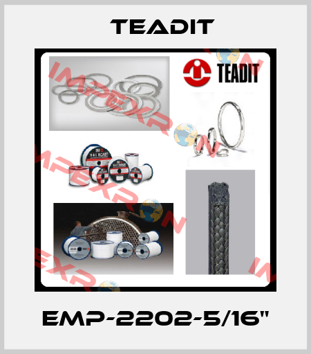 EMP-2202-5/16" Teadit