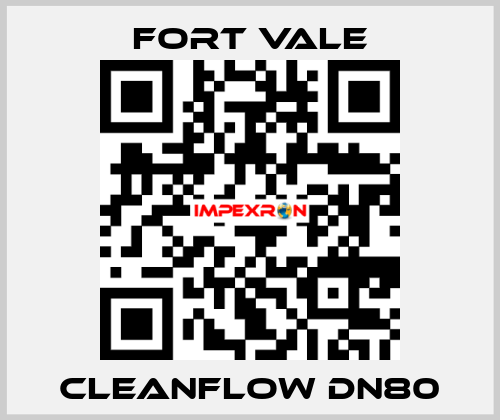 Cleanflow DN80 Fort Vale