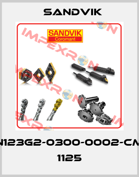 N123G2-0300-0002-CM 1125 Sandvik