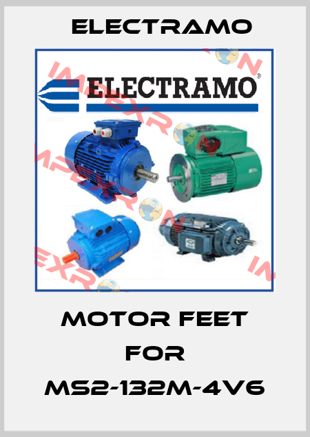 motor feet for MS2-132M-4V6 Electramo