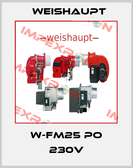 W-FM25 PO 230V Weishaupt