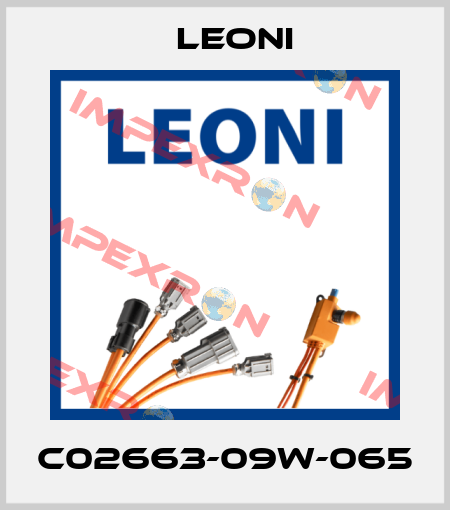 C02663-09W-065 Leoni