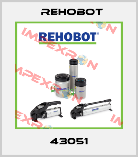 43051 Rehobot
