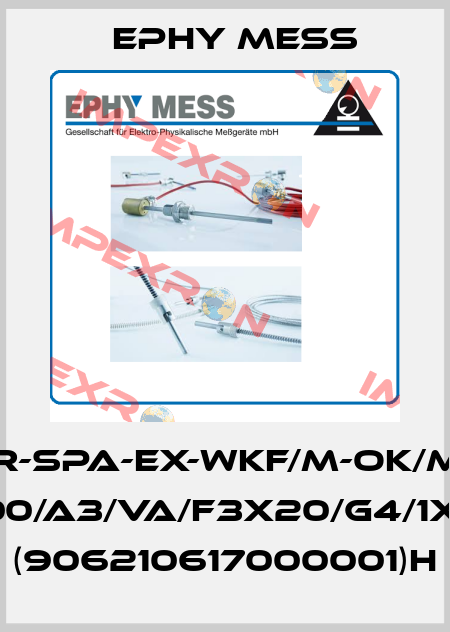 PR-SPA-EX-WKF/M-OK/MH 1Pt100/A3/VA/f3x20/G4/1x26/7 (906210617000001)H Ephy Mess
