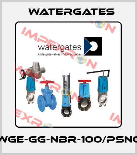 WGE-GG-NBR-100/PSNC Watergates