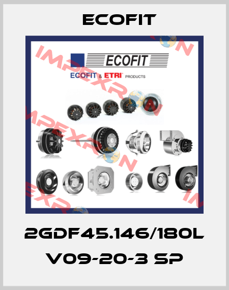 2GDF45.146/180L V09-20-3 SP Ecofit
