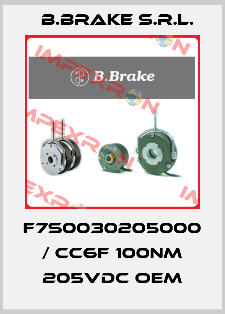 F7S0030205000 / CC6F 100Nm 205VDC OEM B.Brake s.r.l.