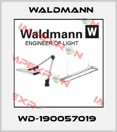 WD-190057019  Waldmann