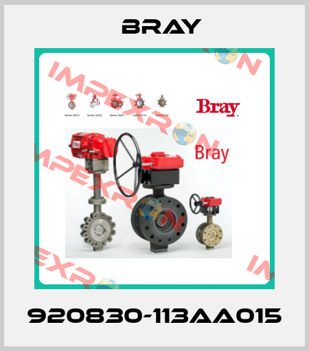 920830-113AA015 Bray
