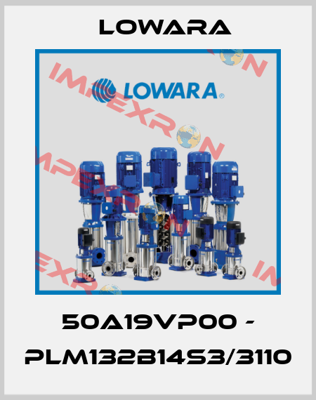 50A19VP00 - PLM132B14S3/3110 Lowara