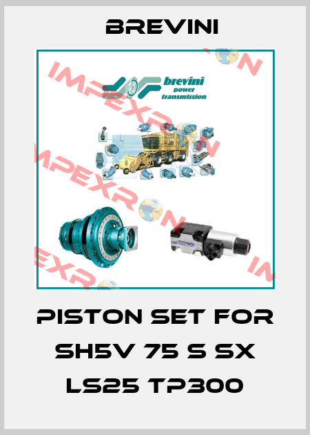 Piston set for SH5V 75 S SX LS25 TP300 Brevini