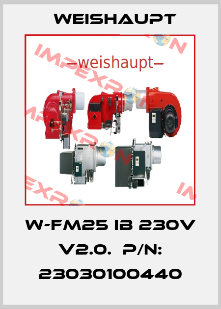W-FM25 IB 230V V2.0.  p/n: 23030100440 Weishaupt