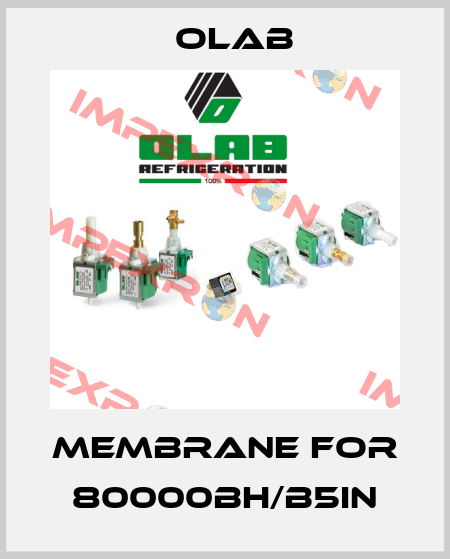 membrane for 80000BH/B5IN Olab