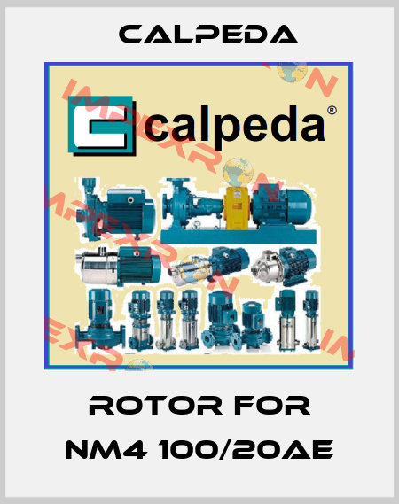 Rotor for NM4 100/20AE Calpeda