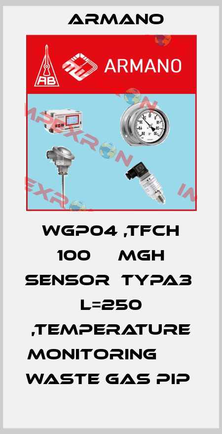 WGP04 ,TFCH 100     MGH SENSOR  TYPA3  L=250 ,TEMPERATURE MONITORING                   WASTE GAS PIP  ARMANO