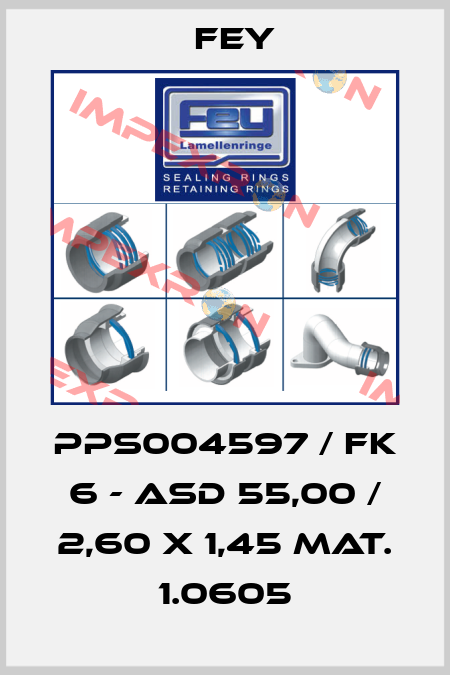 PPS004597 / FK 6 - ASD 55,00 / 2,60 x 1,45 Mat. 1.0605 Fey