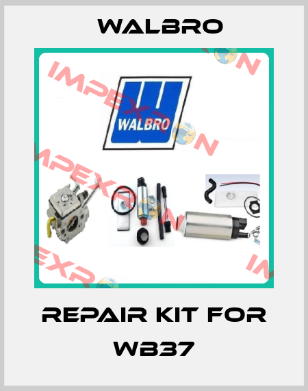 repair kit for WB37 Walbro