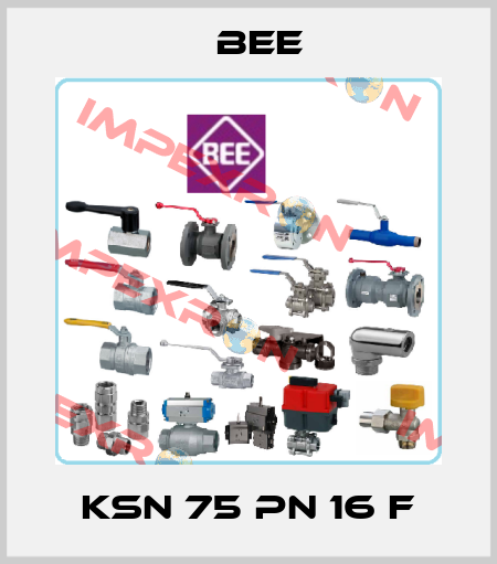 KSN 75 PN 16 F BEE