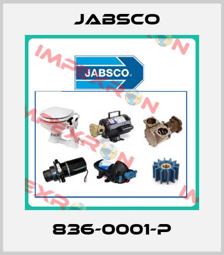 836-0001-P Jabsco